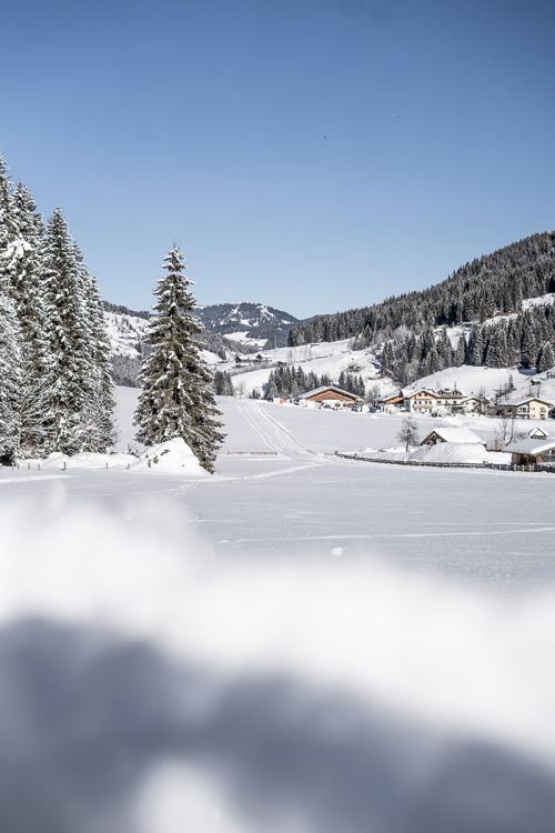 Bauerhofurlaub Österreich